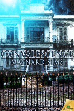Convalescence book cover