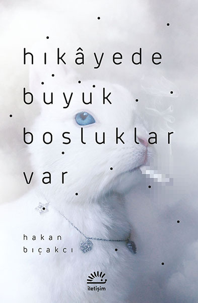 Hikâyede Büyük Boşluklar Var book cover