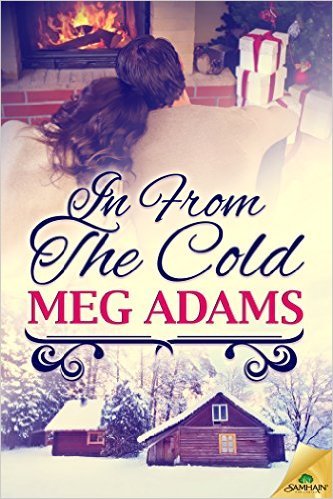 In from the Cold book cover