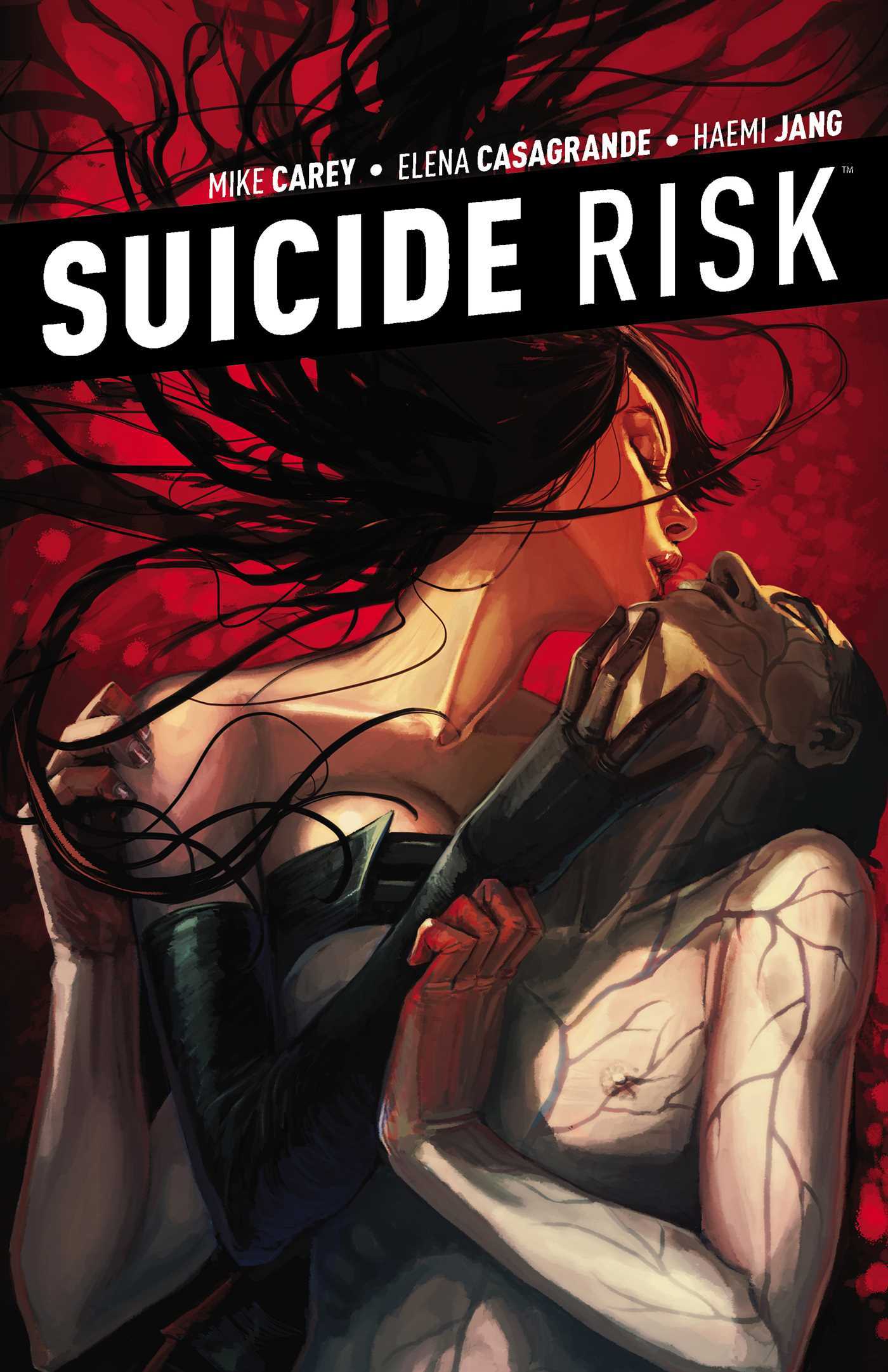 Suicide Risk, Vol. 5 book cover