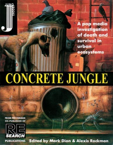 Concrete Jungle book cover