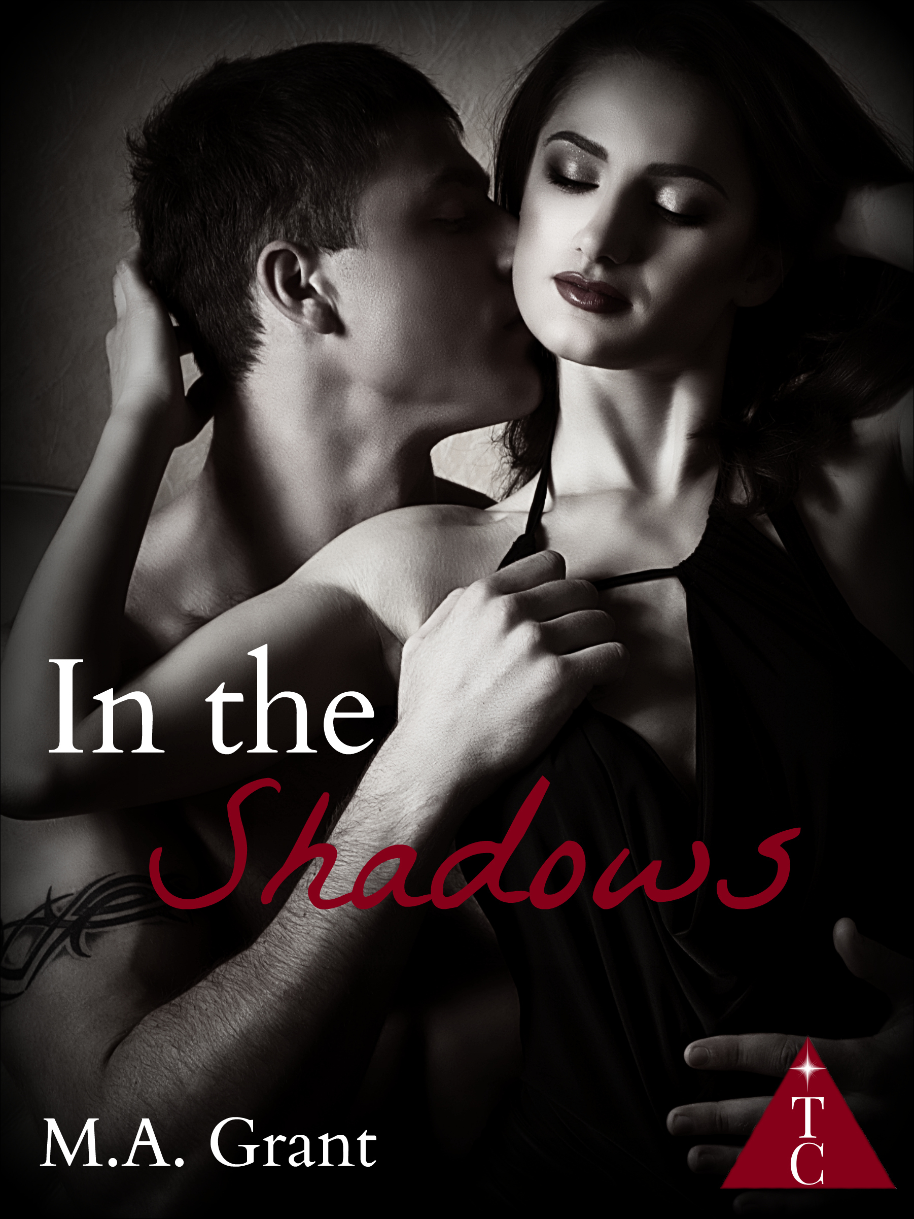 In the Shadows book cover