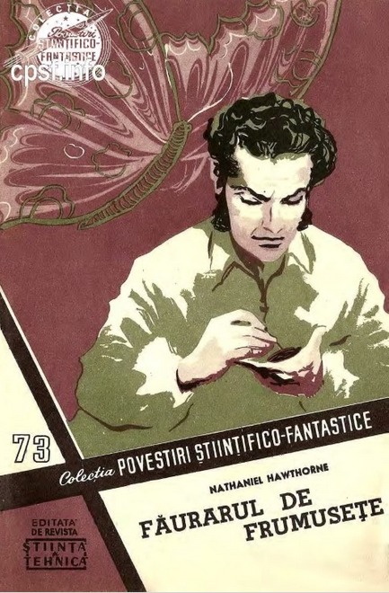 Făurarul de frumusețe book cover