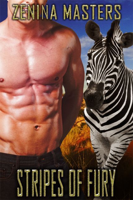 Stripes of Fury book cover