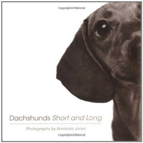 Dachshunds Short and Long