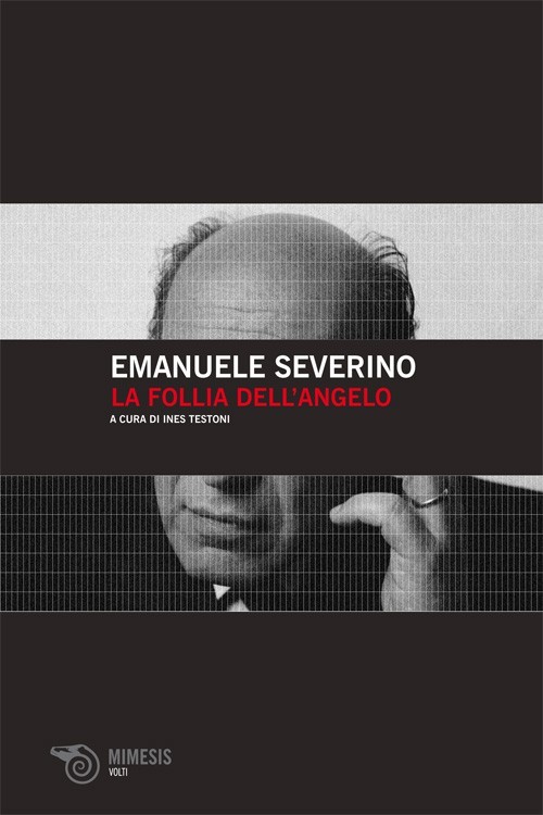 La follia dell'angelo book cover