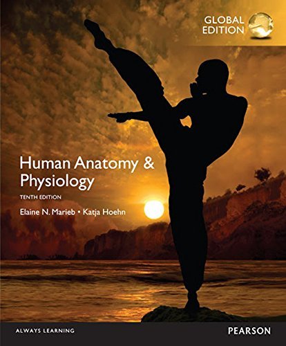 Human Anatomy & Physiology, Global Edition by Elaine N