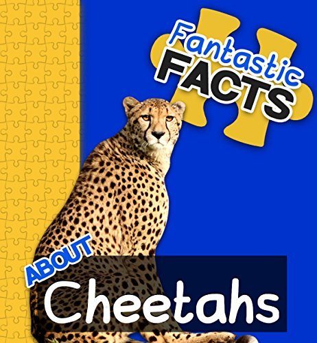 Fantastic Facts About Cheetahs: Illustrated Fun Learning For Kids by