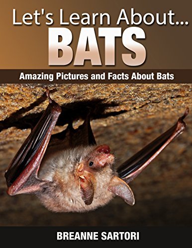Bats: Amazing Pictures and Facts About Bats by Breanne Sartori | Goodreads