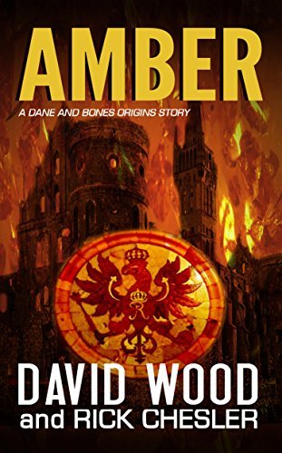Amber book cover