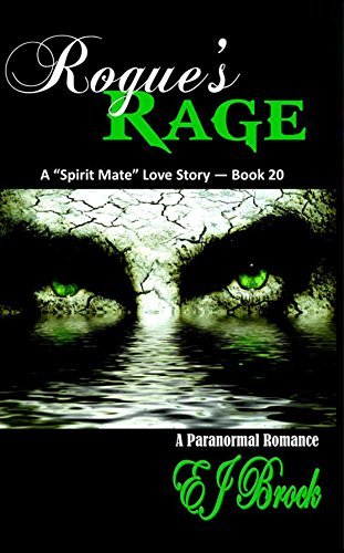 Rogue's Rage book cover