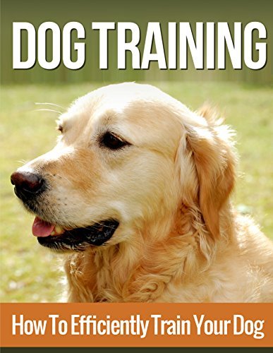 Dog Training for New Owners book cover