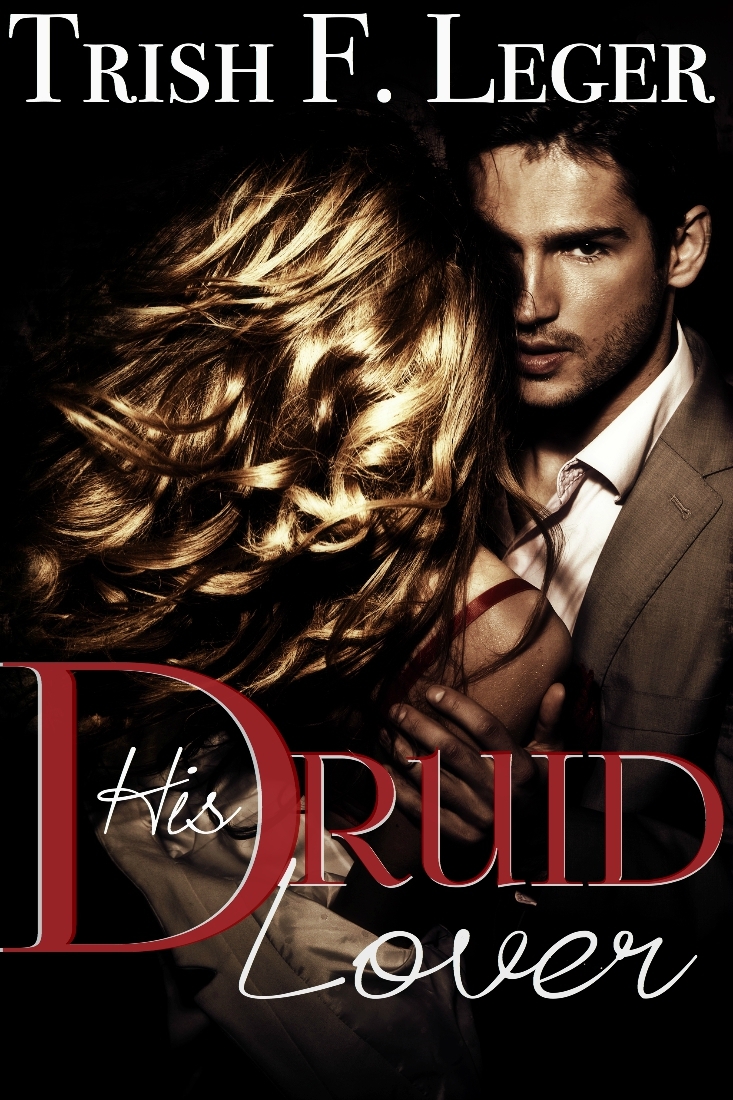 The Amber Druid Series book cover 3