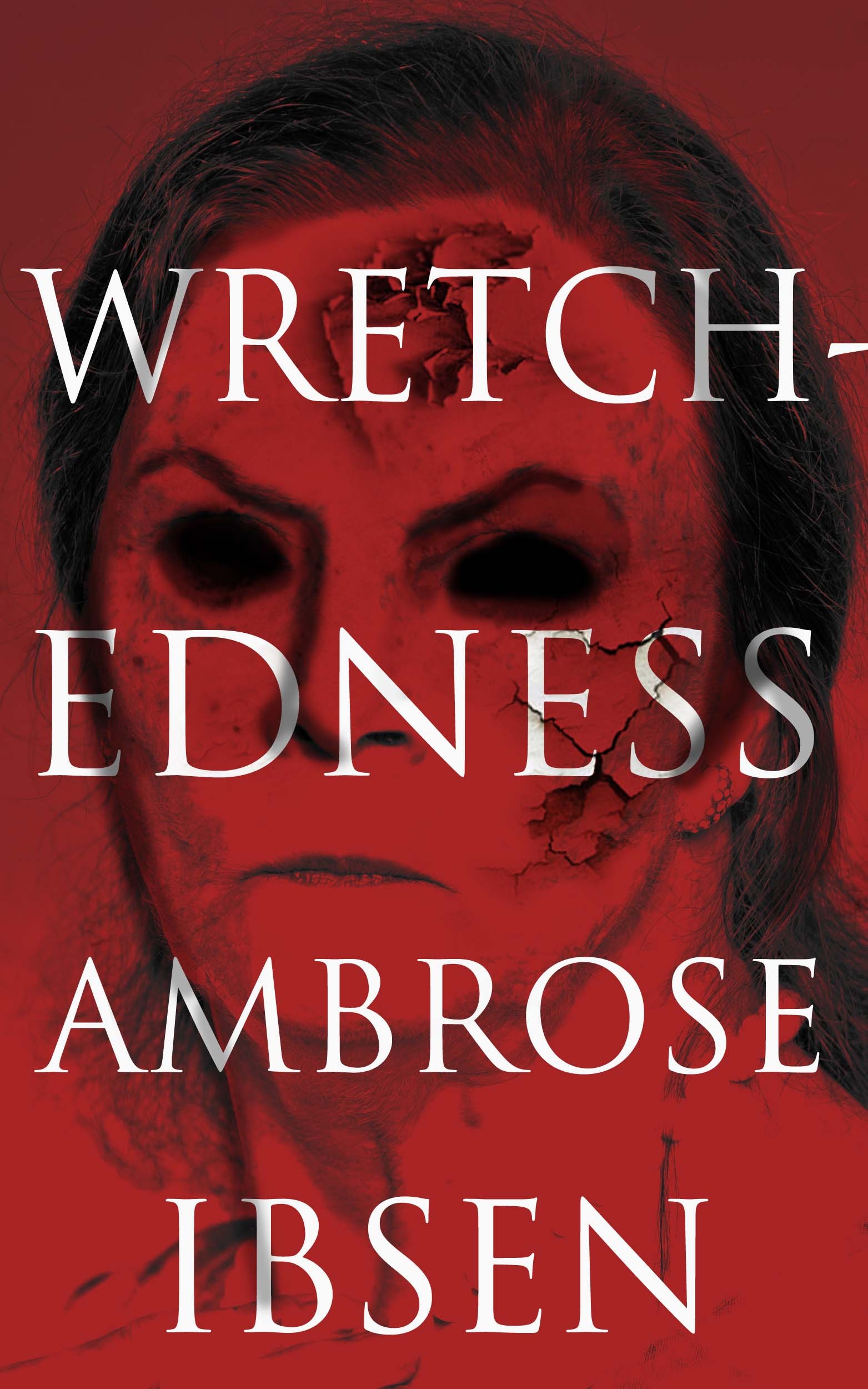 Wretchedness book cover