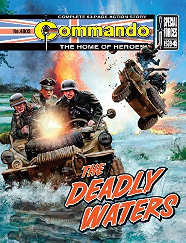 Commando #4803 book cover