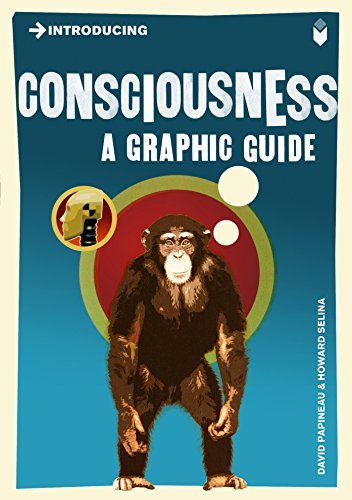 Introducing Consciousness book cover