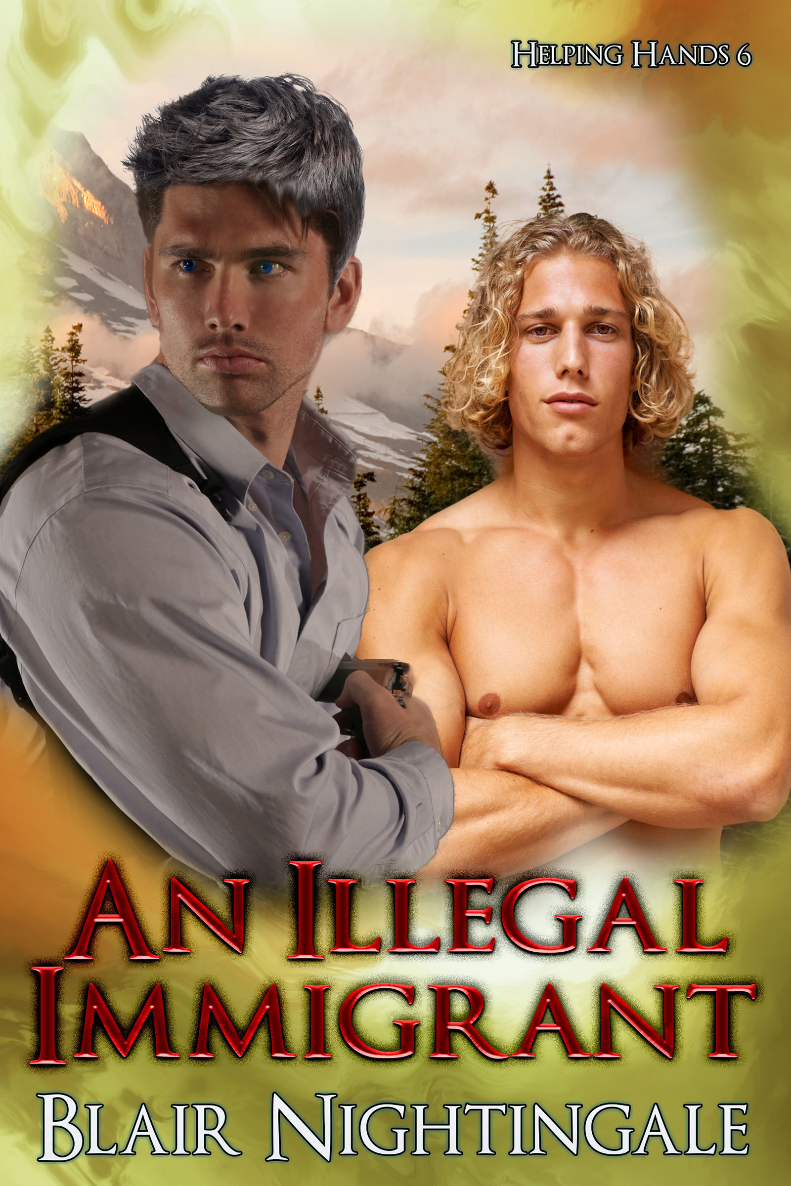 An Illegal Immigrant book cover