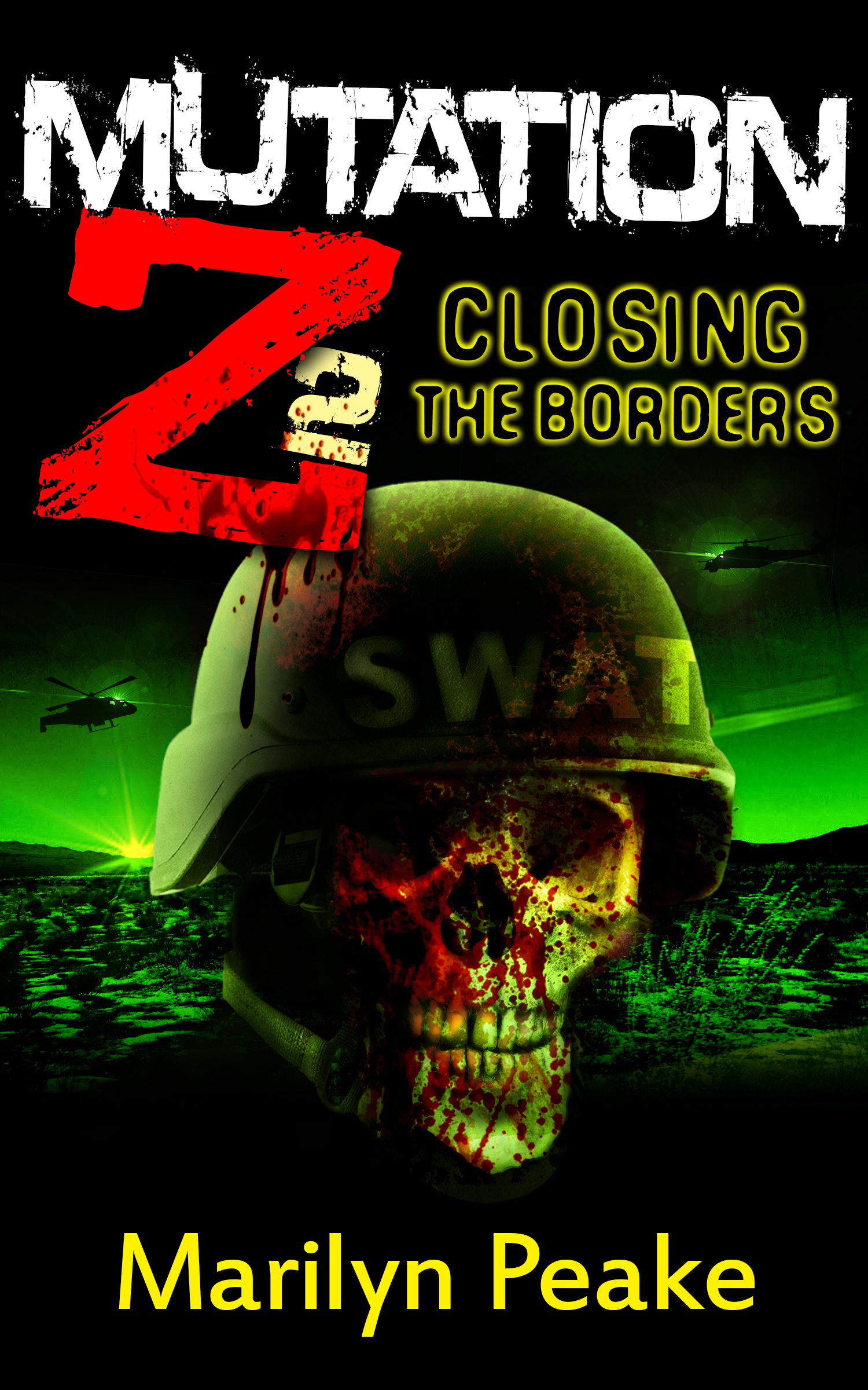 Closing the Borders book cover