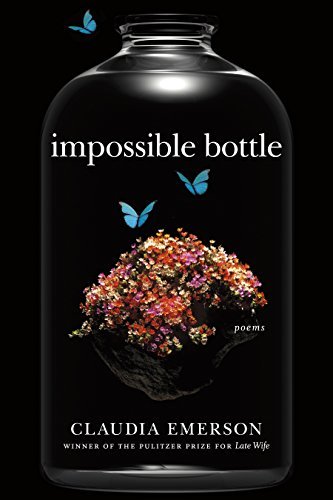 Impossible Bottle book cover