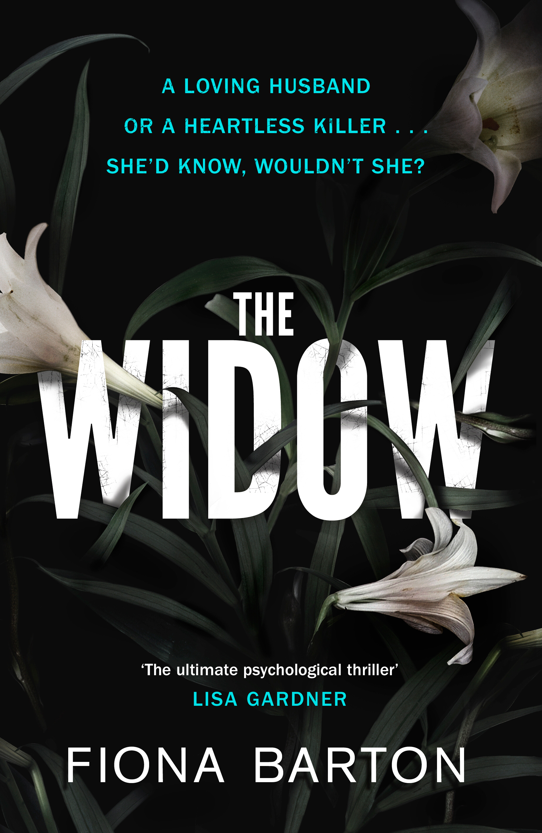 The Widow (Kate Waters, #1)