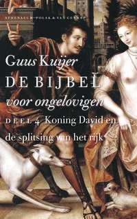 Koning David en de splitsing van het rijk book cover