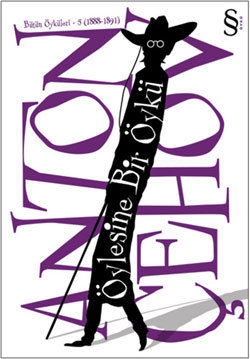 Öylesine Bir Öykü book cover