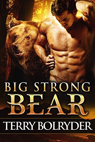 Big Strong Bear book cover