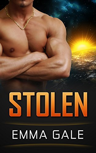 Stolen book cover
