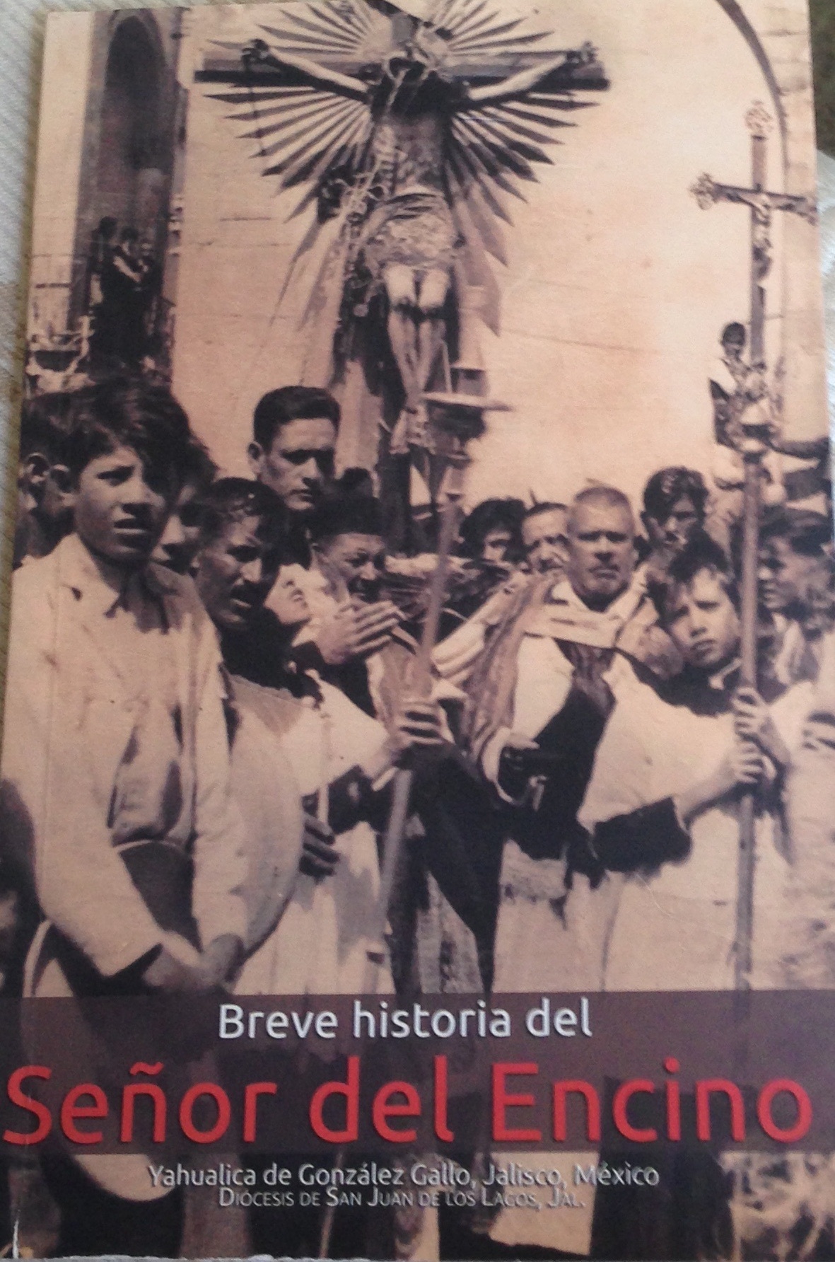 Breve Historia del Señor del Encino by Juan Francisco Navarro Gutiérrez ...
