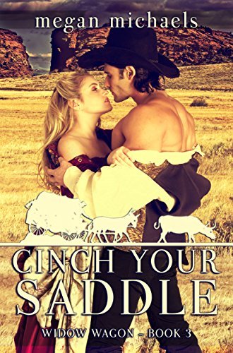 Cinch Your Saddle book cover