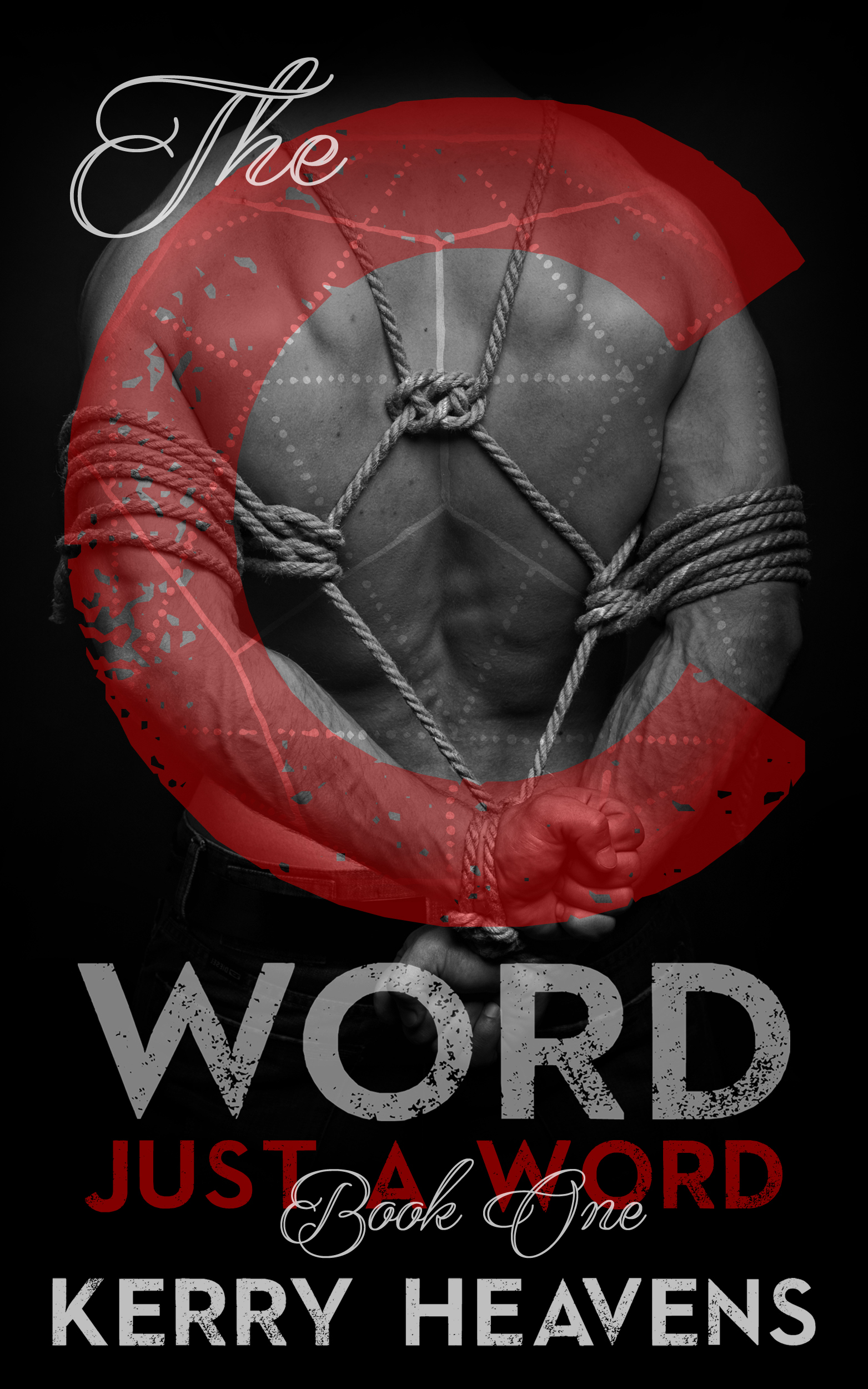 Just a Word book cover 1
