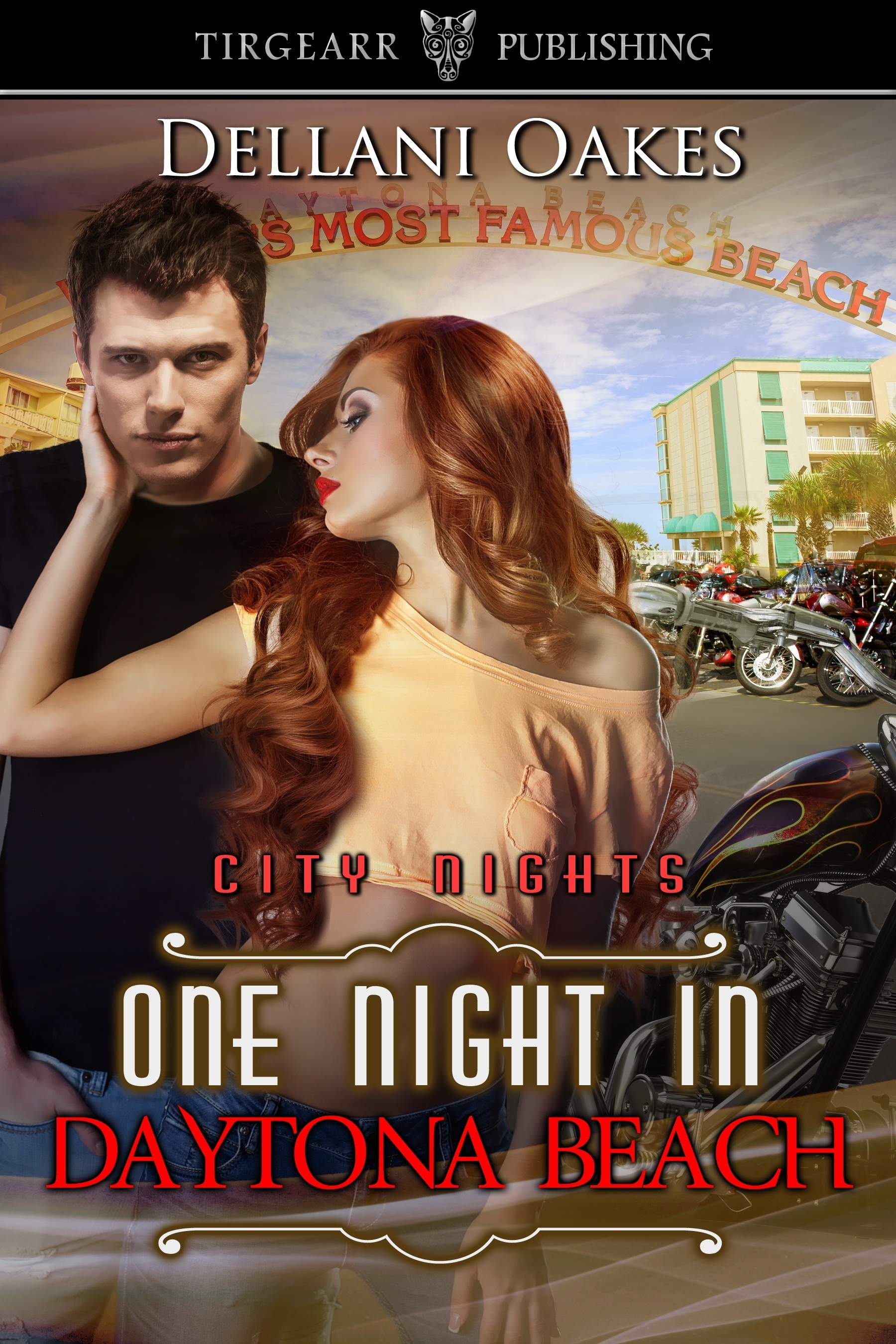 One Night in Daytona Beach book cover
