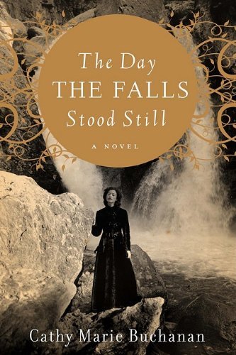 The Day the Falls Stood Still book cover