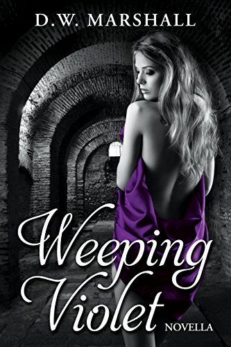 Seven Chamber book cover 2
