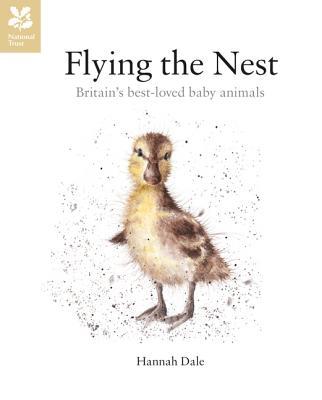 Flying the Nest: Britain's Most Beloved Baby Animals