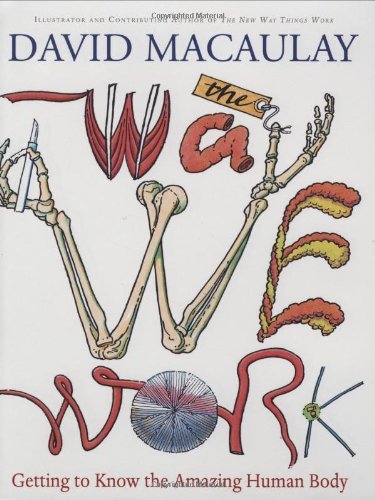 The Way We Work book cover