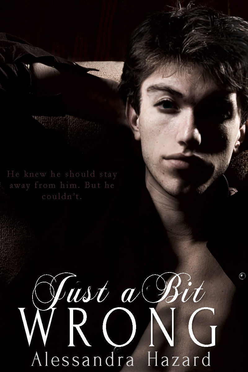 Just a Bit Wrong (Straight Guys #4)