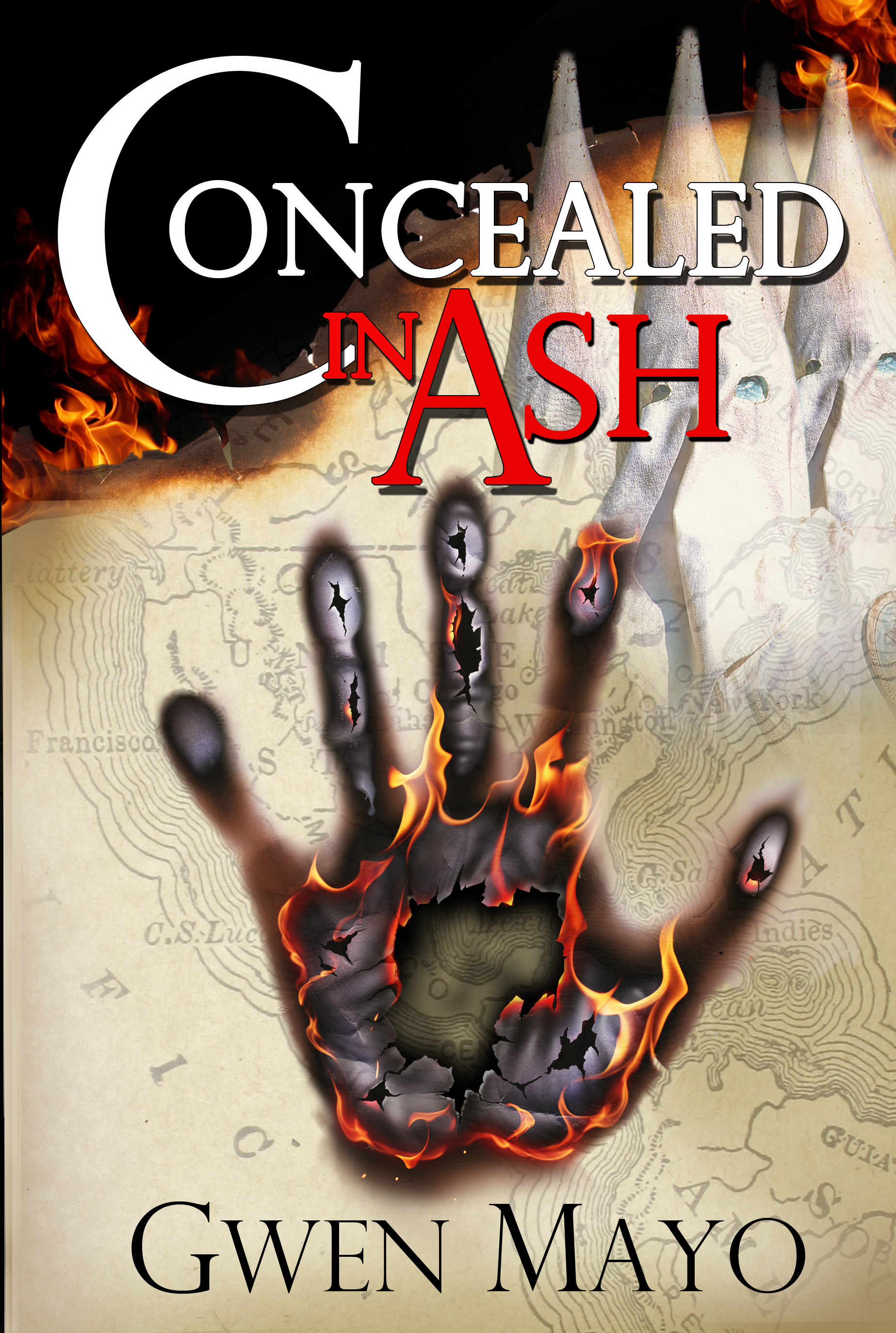 Concealed in Ash book cover
