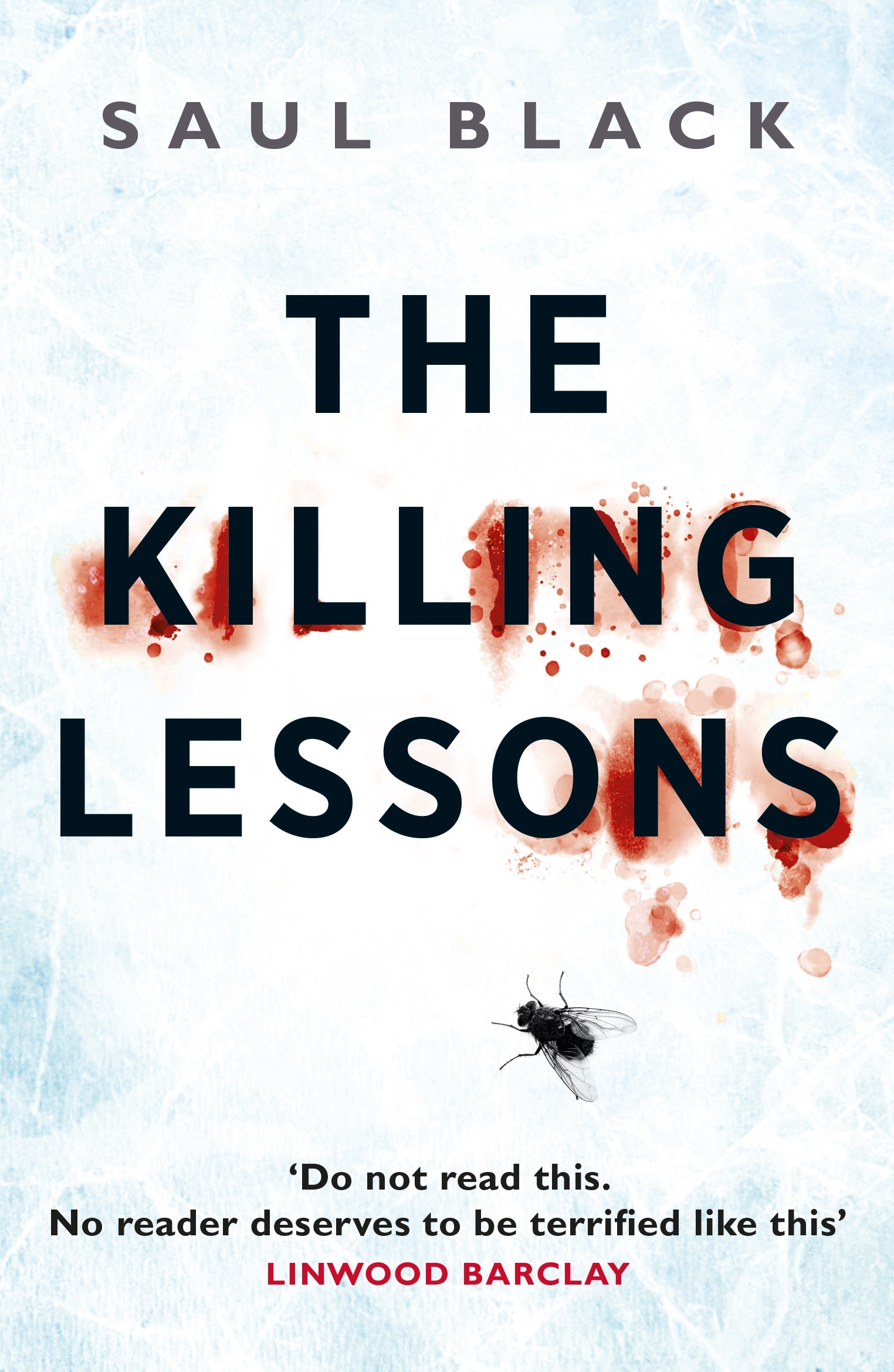The Killing Lessons (Valerie Hart, #1)