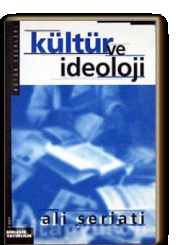 Culture and Ideology book cover