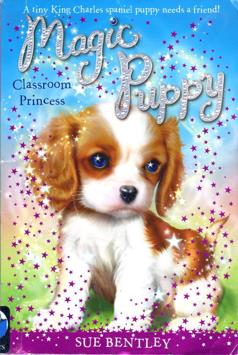 Classroom Princess book cover