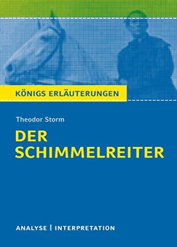 Königs Erläuterungen - Theodor Storm book cover