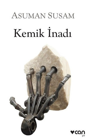 Kemik İnadı book cover