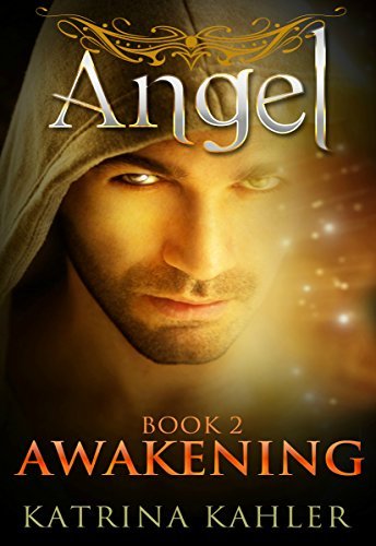 Angel book cover 2