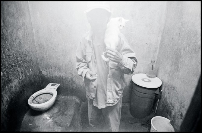 Collectors book cover