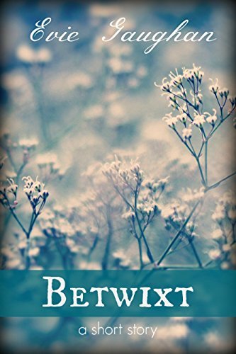 Betwixt book cover