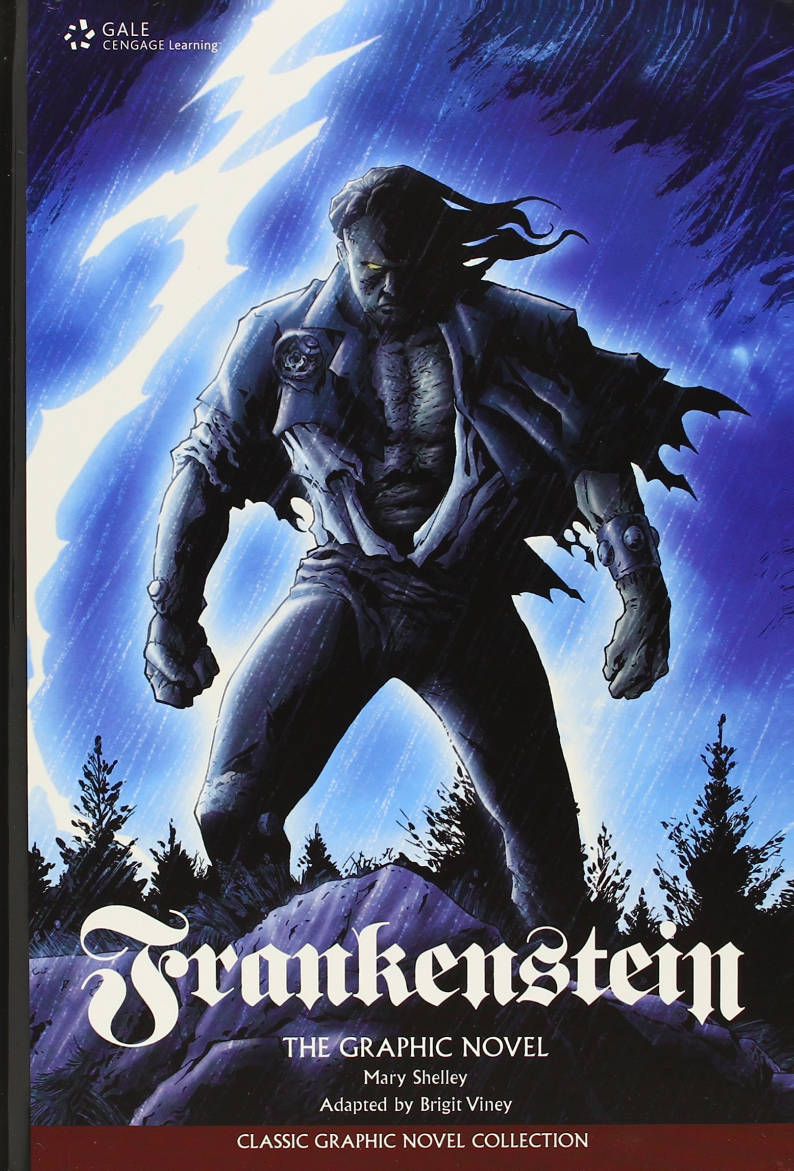 Frankenstein By Brigit Viney Goodreads frankenstein-by-brigit-viney-goodreads