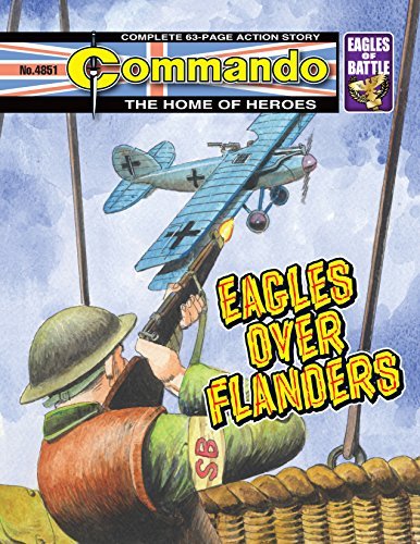 Commando #4851 book cover