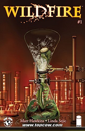 Wildfire book cover 1