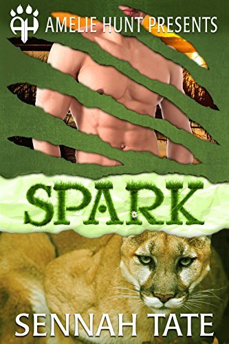 Sunset Glade Panthers book cover 1
